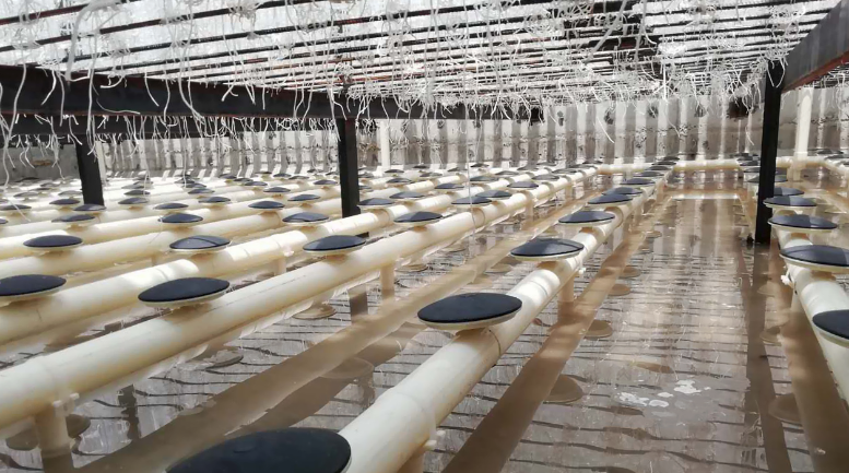 图片关键词 图片关键词